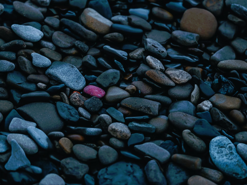 - Criador de frases online