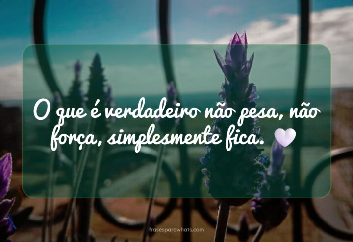 A Verdade Leve: O Que Fica Sem Forçar