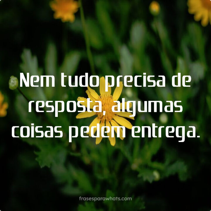 A Sabedoria da Entrega: Nem Tudo Pede Resposta