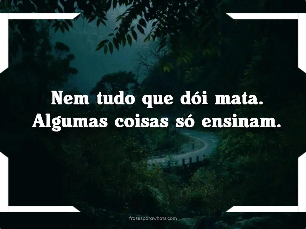 Nem tudo que dói mata. Algumas coisas só ensinam.