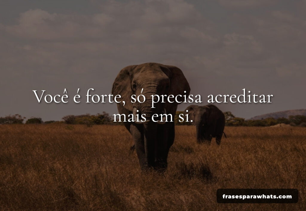 Frases de motivação para acreditar em si mesmo: Você é forte, só precisa acreditar mais em si.