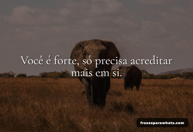 Acredite em Você: As Melhores Frases de Motivação para Status!