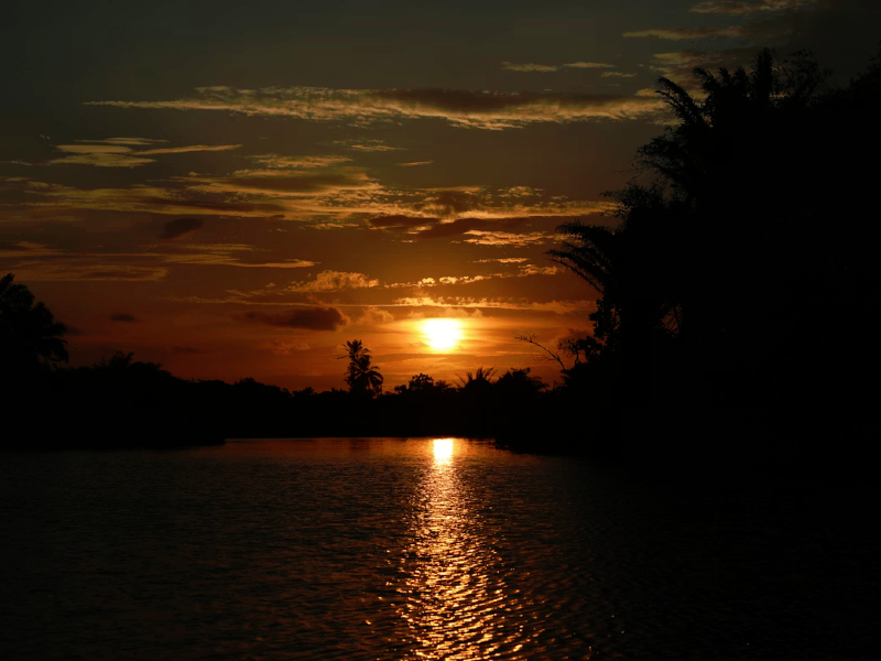 - Criador de frases online