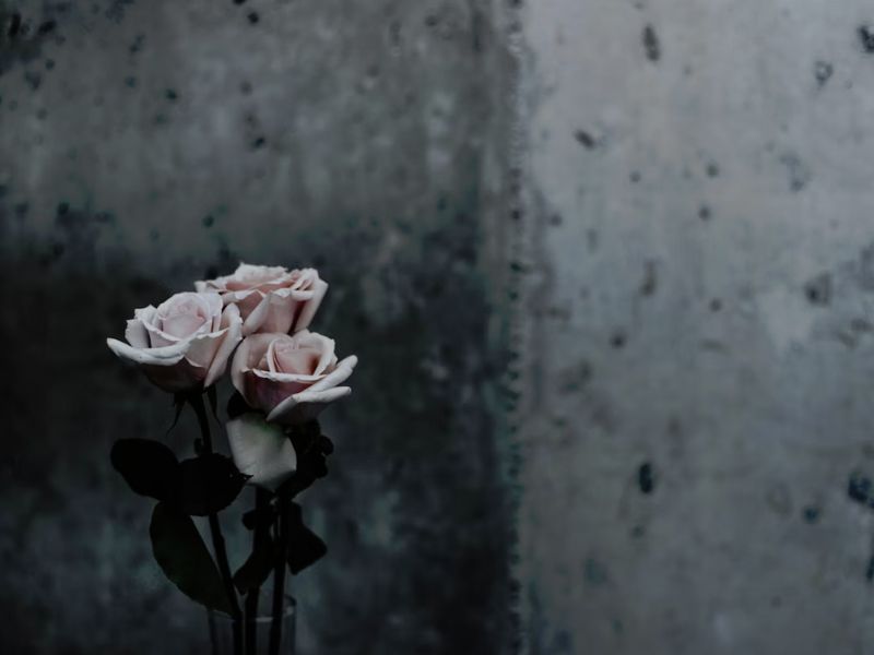 triste flor murcha cinza luto - Criador de frases online