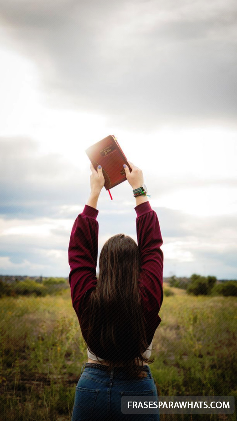 10 - Criador de frases online