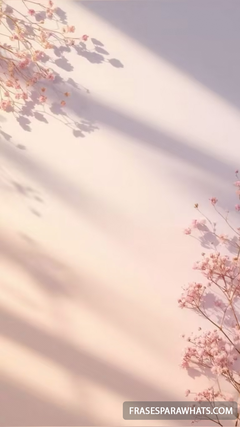 23 - Criador de frases online