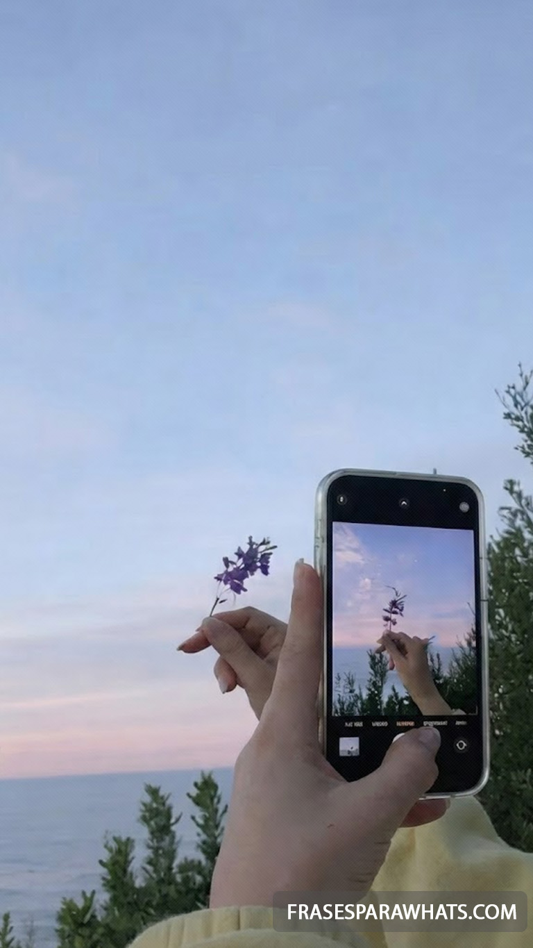 3 - Criador de frases online