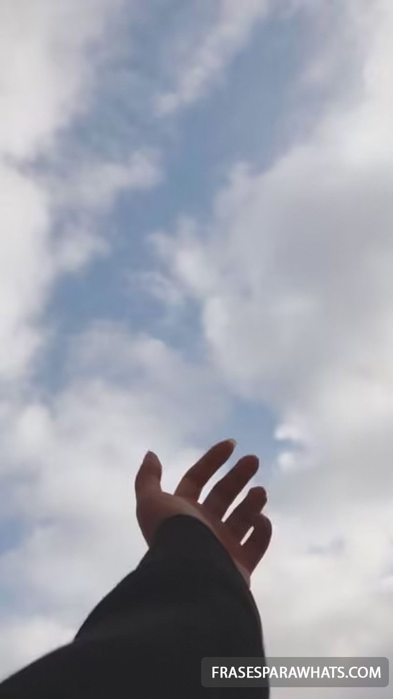 54 - Criador de frases online