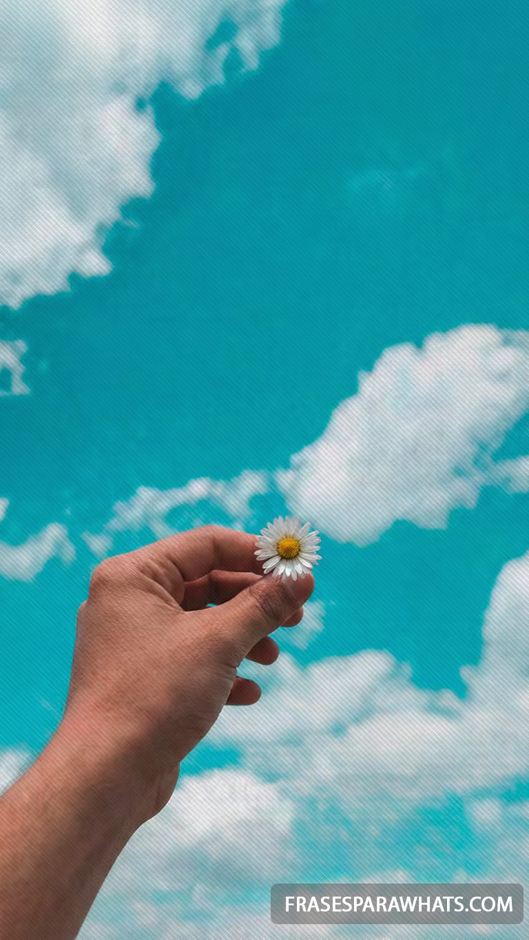 55 - Criador de frases online