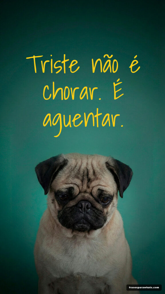 Status triste de decepção e dor: Triste não é chorar. É aguentar.
