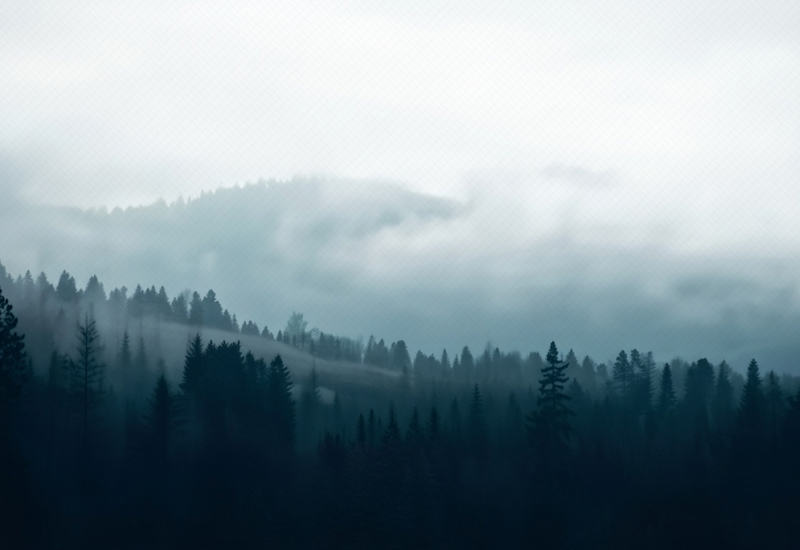 calma neblina montanhas - Criador de frases online