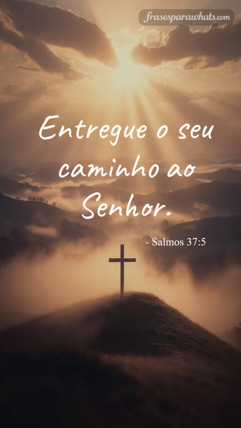 Frases bíblicas de confiança em Deus para momentos de incerteza e entrega