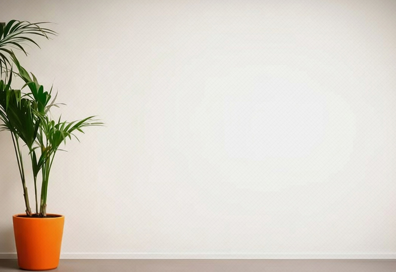 minimalismo planta parede branca - Criador de frases online