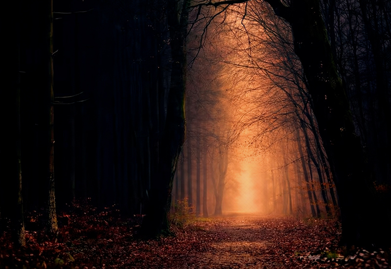 triste solidao porta luz - Criador de frases online