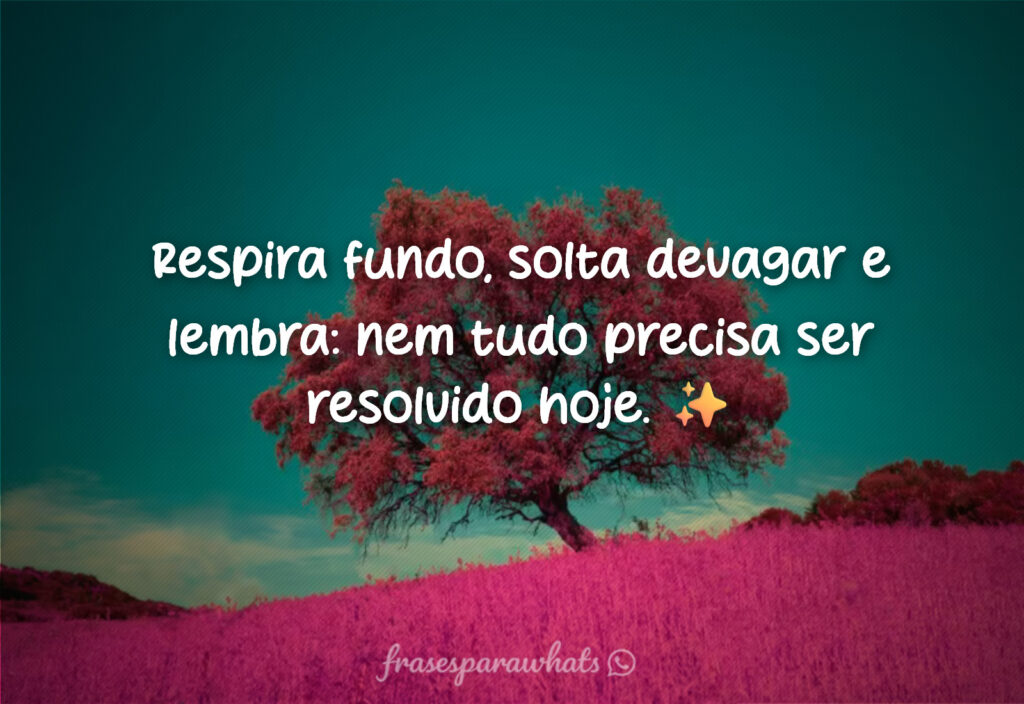 Frases para respirar e soltar o estresse: Respira fundo, solta devagar e lembra: nem tudo precisa ser resolvido hoje. ✨